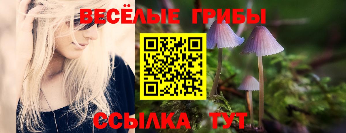 Белорецк  Галлюциногенные грибы мицелий  цена наркотик  Вход с VPN 